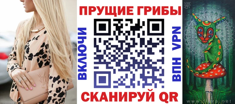 Псилоцибиновые грибы Magic Shrooms  Апшеронск 
