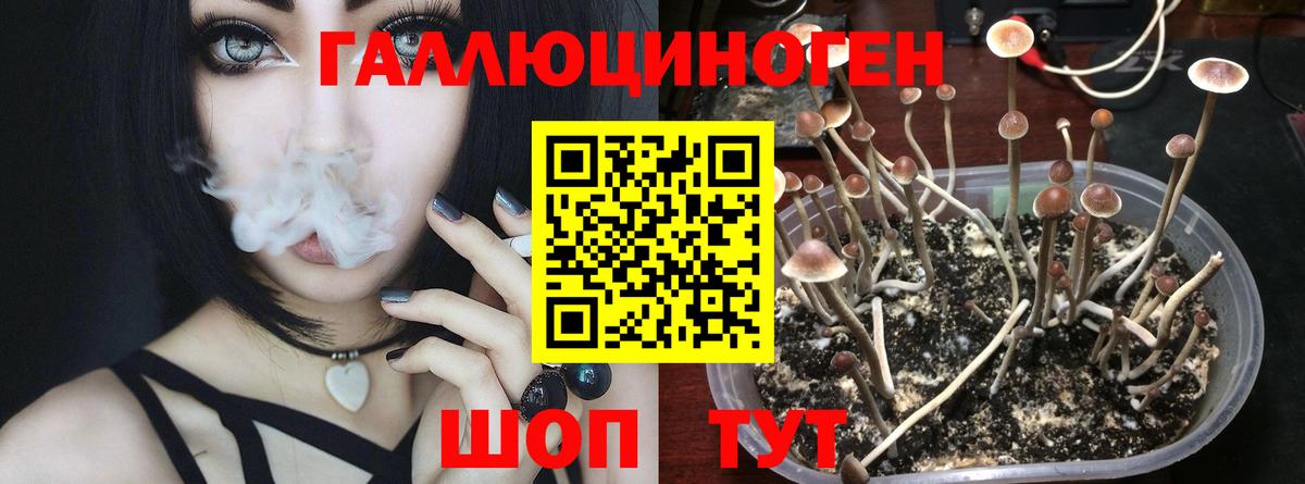 Галлюциногенные грибы Magic Shrooms  Вход с VPN  наркота  Апшеронск 
