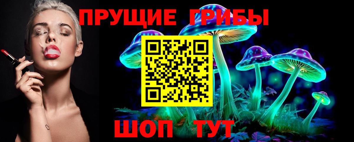 Псилоцибиновые грибы Psilocybe Апшеронск