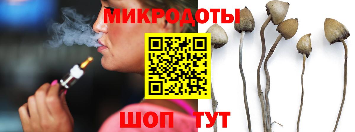 Псилоцибиновые грибы GOLDEN TEACHER Апшеронск